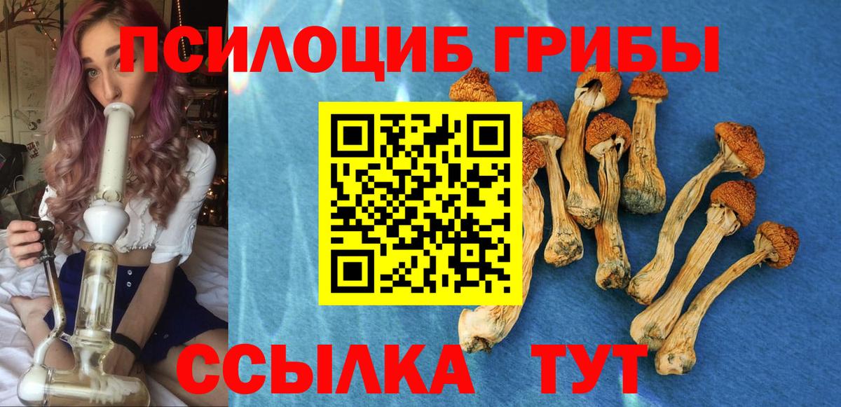 Псилоцибиновые грибы Psilocybe  Галлюциногенные грибы мицелий  Выкса  наркошоп  Вход с VPN 