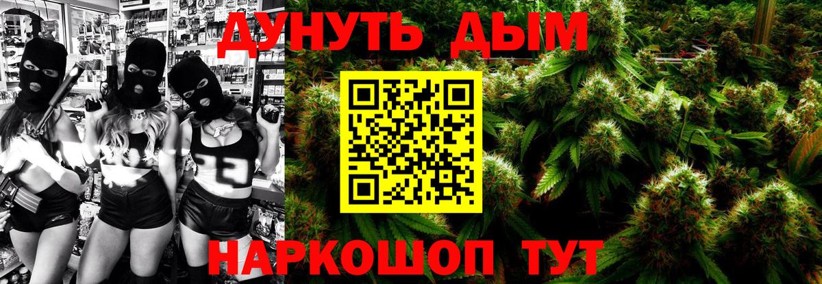 Бошки марихуана семена  Конопля планчик  Бошки марихуана White Widow  Вход с VPN  Выкса  Марихуана ГИДРОПОН 